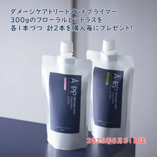AP.P.ダメージケアトリートメントプライマー　300ｇ